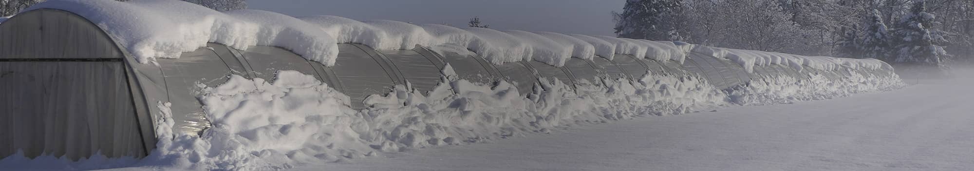 cabeceras--OVERWINTER.jpg