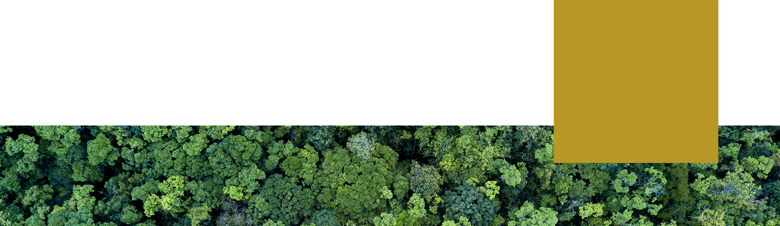 Cultivando la innovaci&oacute;n