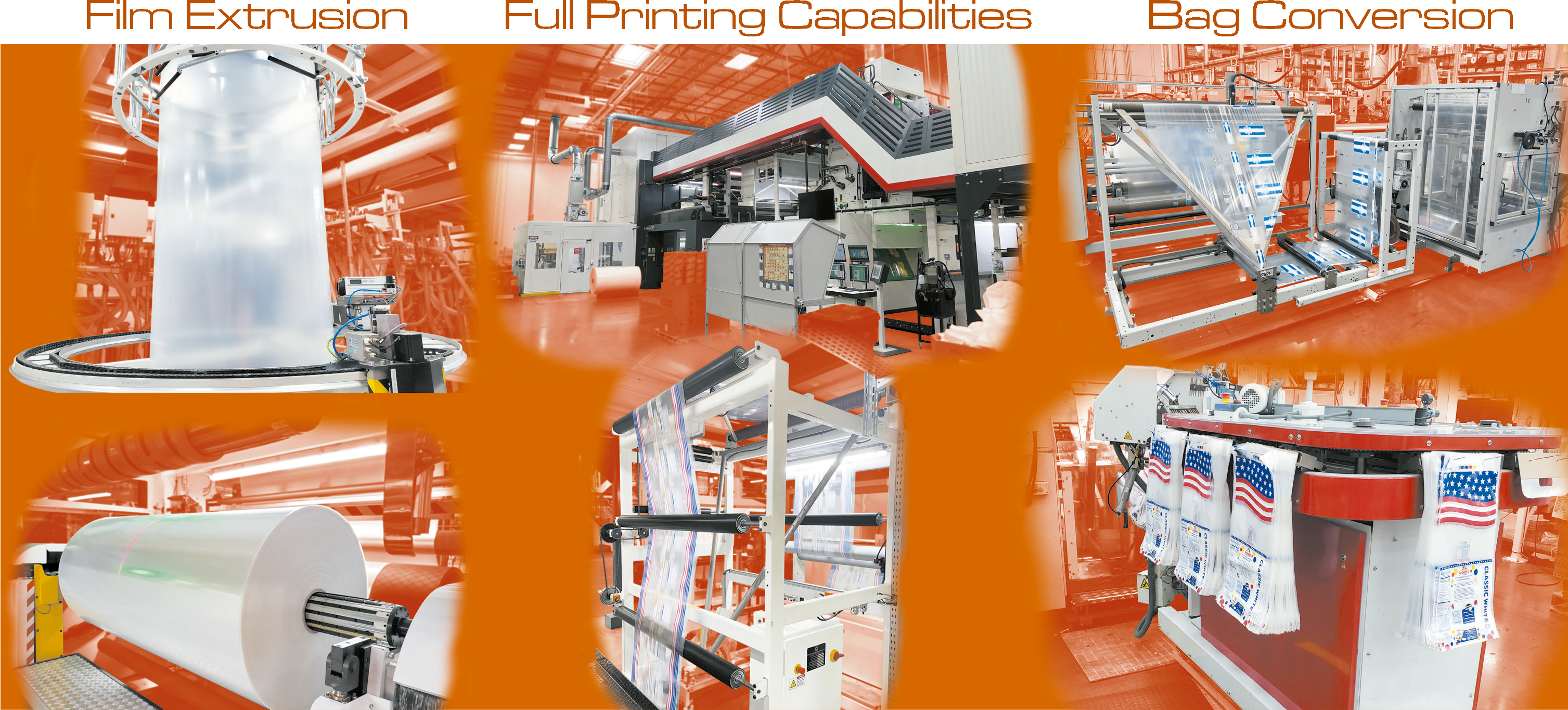 Cultivando la innovaci&oacute;n